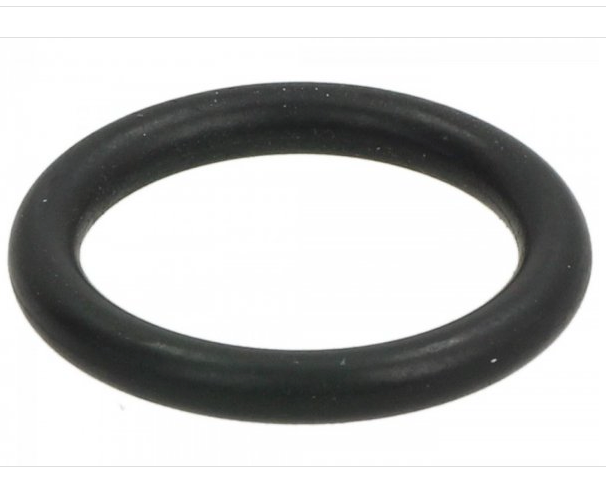 Stand pin o ring Vespa GTS