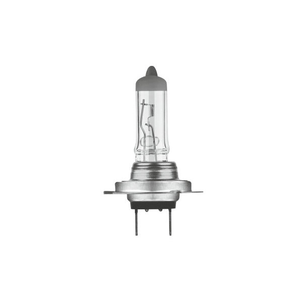 12V 55W H7 Halogen Bulb  477