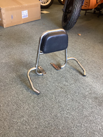 Royal Alloy Backrest Grab Rail in Stainless.