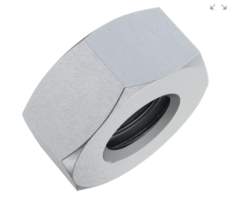 M10 x 1.25 Plain Nut SS