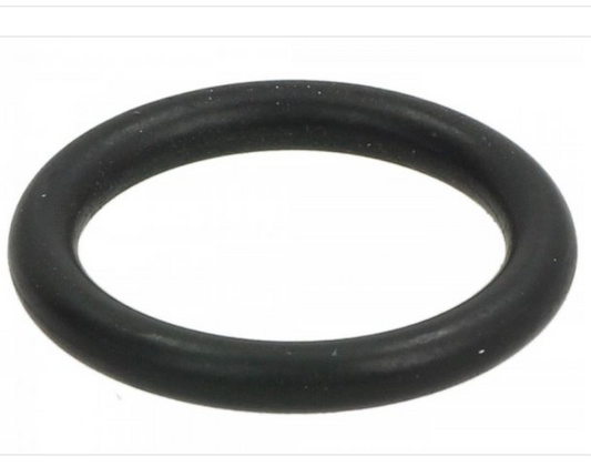 Stand pin o ring Vespa GTS