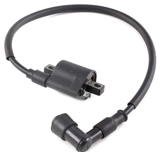 Ignition Coil lead and Cap IGNC054