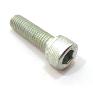 M6 X 20  CAP S/S screw