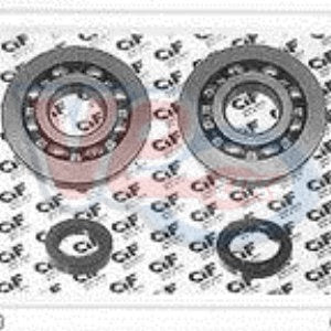 Crank bearing and seal set Vespa 150