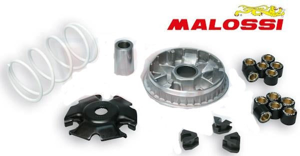 Variator Malossi Multivar 2000 For Royal Alloy 200 / 300, Vespa GTS, Scomadi